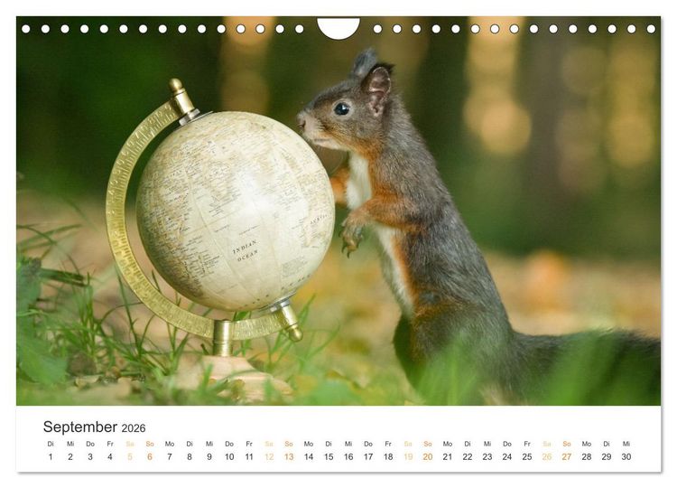 Produktbild: Geheimes Waldleben (Wandkalender 2026 DIN A4 quer), CALVENDO Monatskalender