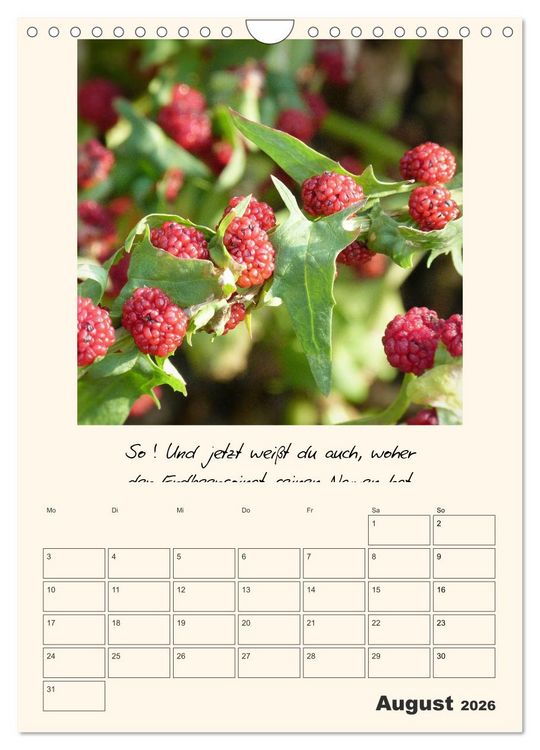Produktbild: Gartengeschichten (Wandkalender 2026 DIN A4 hoch), CALVENDO Monatskalender
