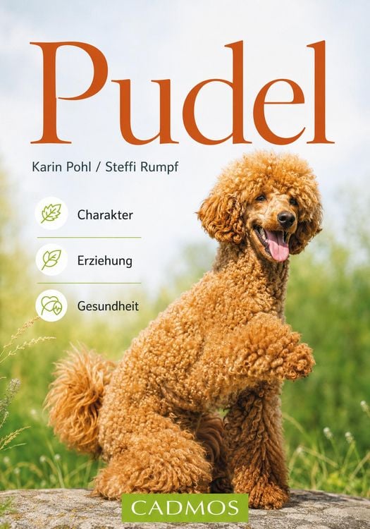 Produktbild: Pudel