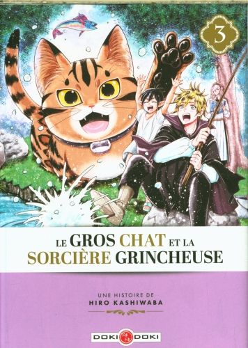 Produktbild: Le gros chat et la sorci&egrave;re grincheuse. Tome 3