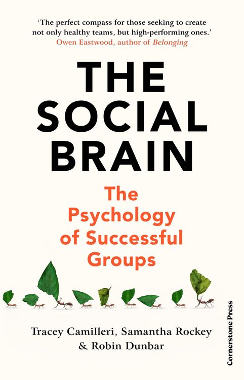 Produktbild: The Social Brain