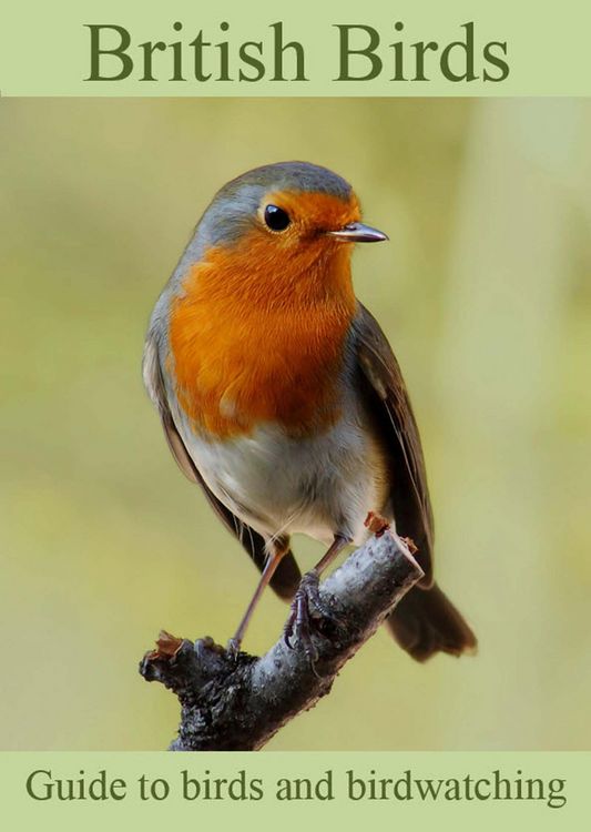 Produktbild: British Birds