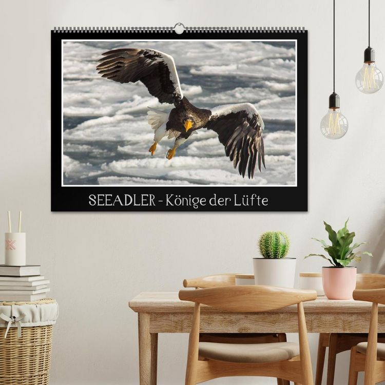 Produktbild: Seeadler - K&ouml;nige der L&uuml;fte (Wandkalender 2026 DIN A2 quer), CALVENDO Monatskalender