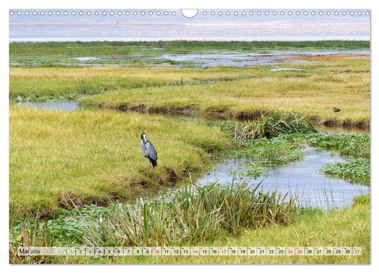 Produktbild: Tansania. Impressionen aus Ostafrika (Wandkalender 2026 DIN A3 quer), CALVENDO Monatskalender