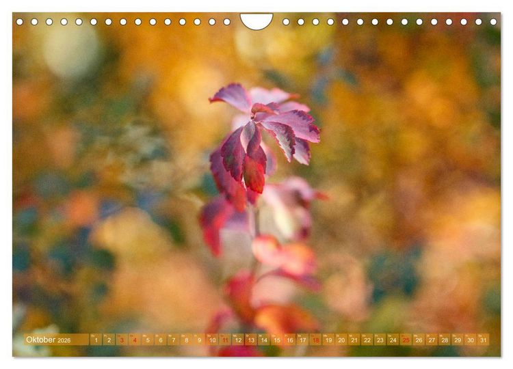 Produktbild: Die Poesie der Pflanzenwelt - Im Wandel der Jahreszeiten (Wandkalender 2026 DIN A4 quer), CALVENDO Monatskalender