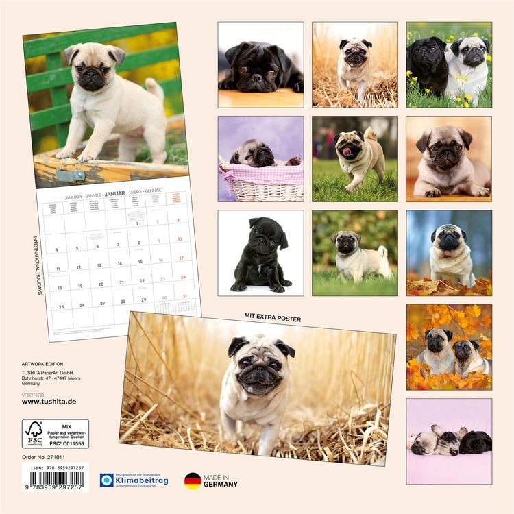 Produktbild: M&ouml;pse / Puglets 2027