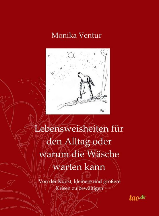 Produktbild: Lebensweisheiten f&uuml;r den Alltag oder warum die W&auml;sche warten kann