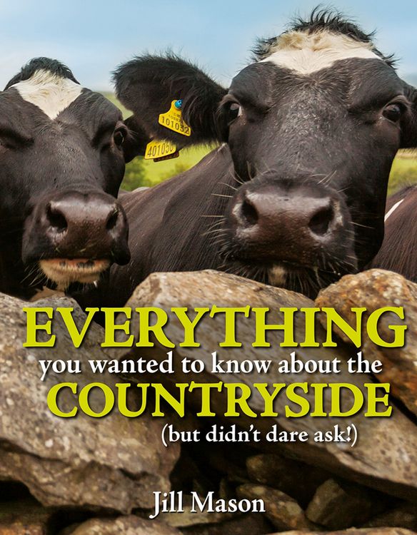 Produktbild: Everything you Wanted to Know about the Countryside