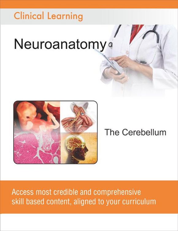 Produktbild: The Cerebellum