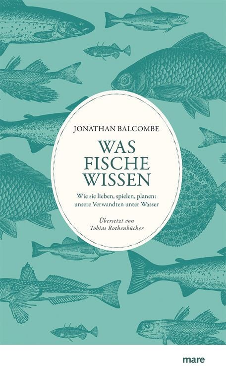 Produktbild: Was Fische wissen