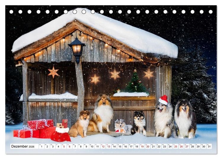 Produktbild: Traumhund Collie - Mein bester Freund (Tischkalender 2026 DIN A5 quer), CALVENDO Monatskalender