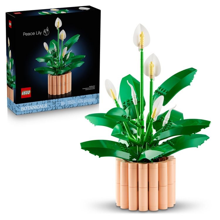 Produktbild: LEGO Botanicals 11504 Friedenslilie, Kunstblumen, DIY Deko Pflanzen