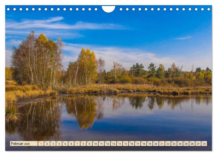 Produktbild: Herbst im Schwenninger Moos (Wandkalender 2026 DIN A4 quer), CALVENDO Monatskalender