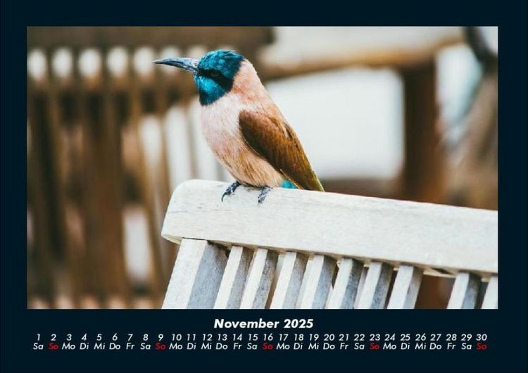 Produktbild: Vogelparadies 2025 Fotokalender DIN A4