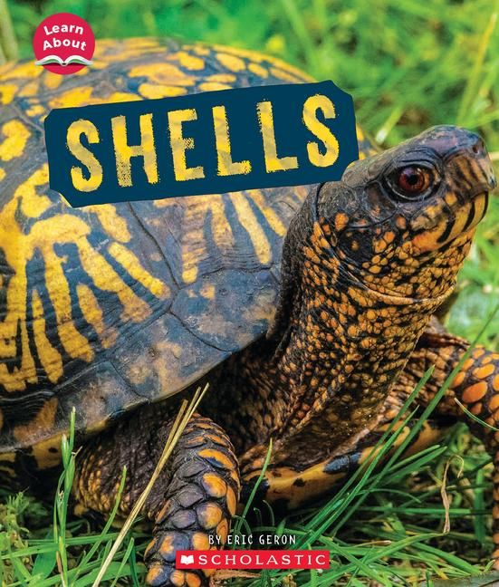 Produktbild: Shells (Learn About: Animal Coverings)