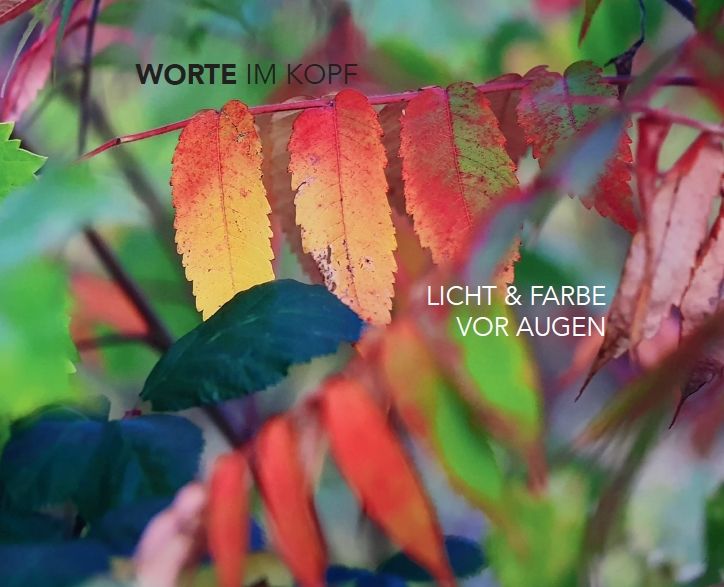 Produktbild: Worte im Kopf &ndash; Licht & Farbe vor Augen