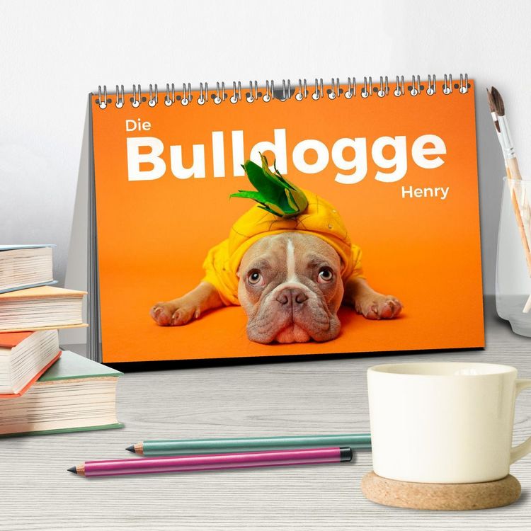 Produktbild: Die Bulldogge Henry (Tischkalender 2026 DIN A5 quer), CALVENDO Monatskalender
