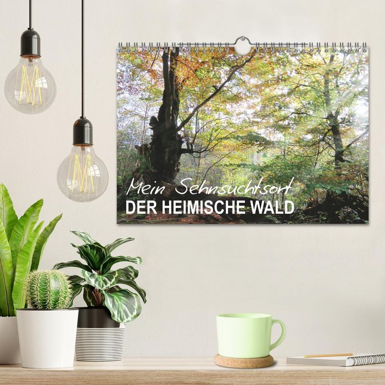 Produktbild: Mein Sehnsuchtsort, der heimische Wald (Wandkalender 2026 DIN A4 quer), CALVENDO Monatskalender
