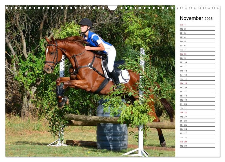 Produktbild: Mein Reitsport Kalender (Wandkalender 2026 DIN A3 quer), CALVENDO Monatskalender