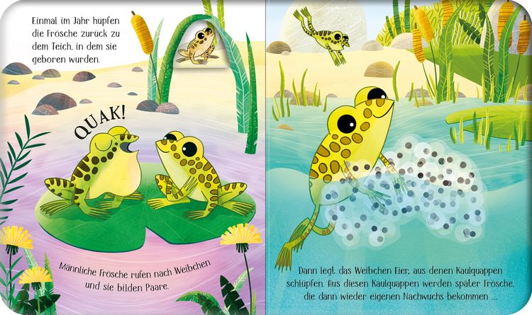 Produktbild: Schau mal, wie ich wachse! Vom Laich zum Frosch