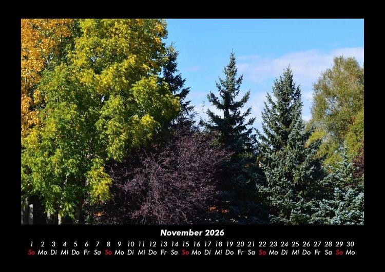Produktbild: B&auml;ume 2026 Fotokalender DIN A3