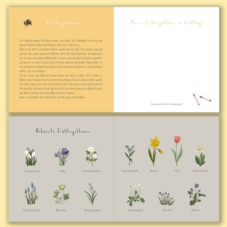 Produktbild: Herbarium - Fr&uuml;hling