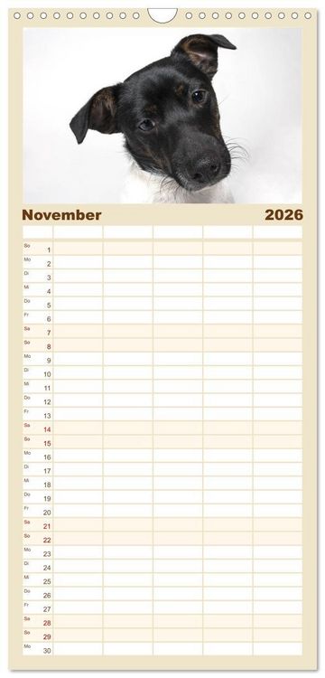 Produktbild: Familienplaner 2026 - Kleine Hunde - Gro&szlig;e Blicke mit 5 Spalten (Wandkalender, 21 x 45 cm) CALVENDO