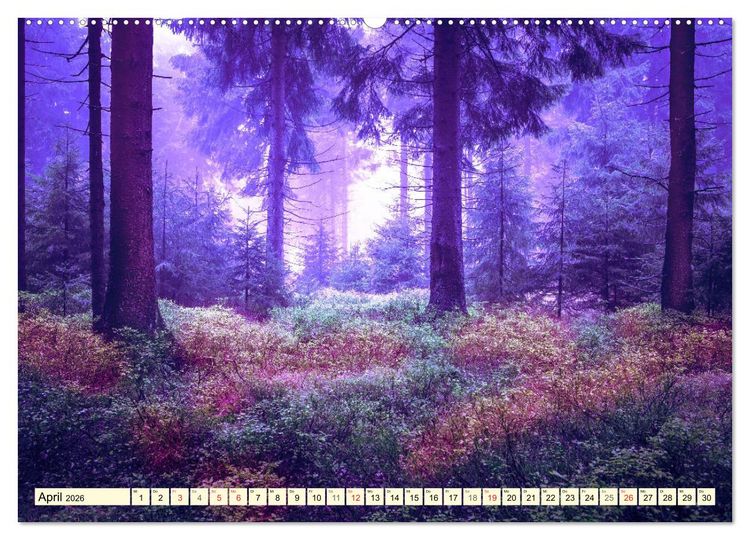 Produktbild: Mystische W&auml;lder - Zauber der Natur (hochwertiger Premium Wandkalender 2026 DIN A2 quer), Kunstdruck in Hochglanz
