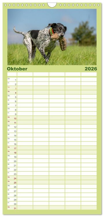 Produktbild: Familienplaner 2026 - Jagdhunde bei der Arbeit mit 5 Spalten (Wandkalender, 21 x 45 cm) CALVENDO