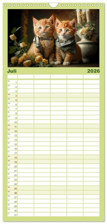 Produktbild: Familienplaner 2026 - Katzen Freunde mit 5 Spalten (Wandkalender, 21 x 45 cm) CALVENDO