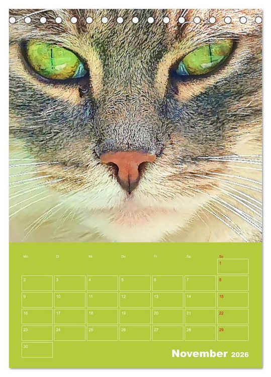 Produktbild: Cat Faces - Charakterstarke Katzengesichter ganz nah (Tischkalender 2026 DIN A5 hoch), CALVENDO Monatskalender