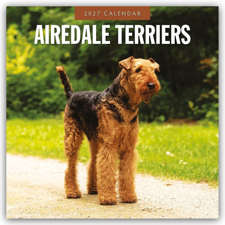 Produktbild: Airdale Terriers &ndash; Airdale Terrier 2027 &ndash; 16-Monatskalender