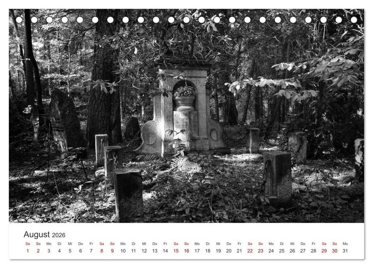 Produktbild: Wachgek&uuml;sst - Vom Zauber der Vergangenheit - S&uuml;dwestkirchhof Stahnsdorf (Tischkalender 2026 DIN A5 quer), CALVENDO Monatskalender