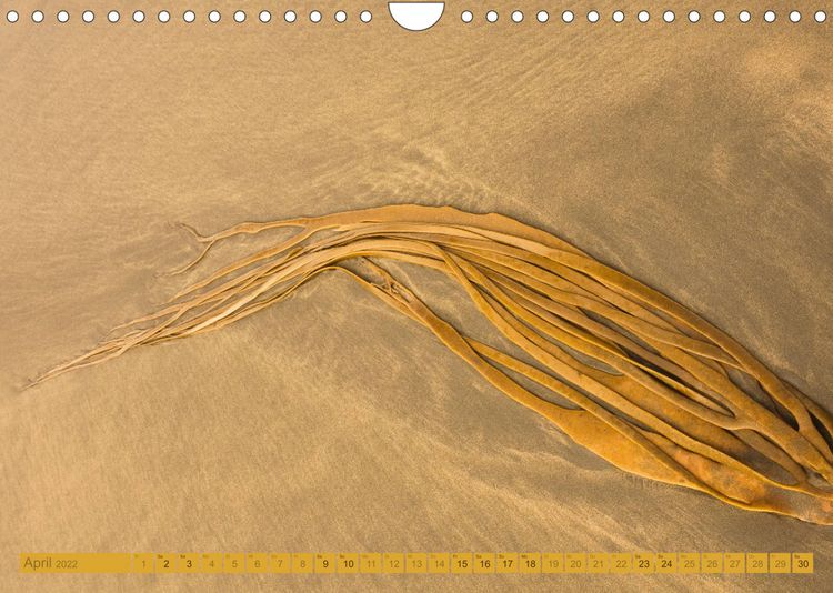 Produktbild: Am Strand - Fundst&uuml;cke und Kunstwerke (Wandkalender 2022 DIN A4 quer)