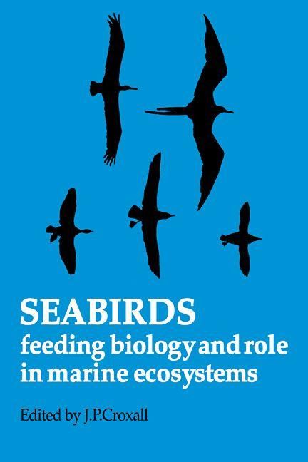 Produktbild: Seabirds