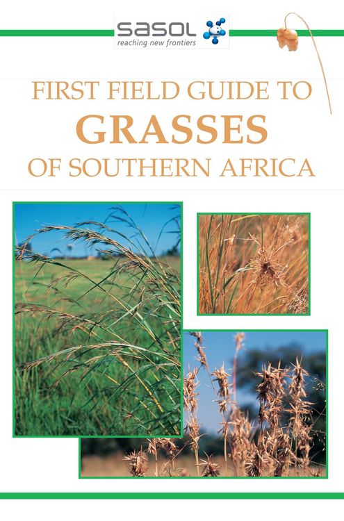 Produktbild: First Field Guide to Grasses of Southern Africa