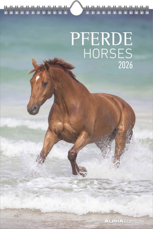 Bild vom Artikel Pferde 2026 - Bildkalender 23,7x34 cm - Kalender mit Platz für Notizen - mit vielen Zusatzinformationen - Horses - Wandkalender - Alpha Edition vom Autor Alpha Edition