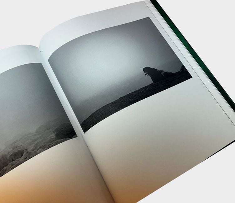 Produktbild: Mital Patel - States of Nature