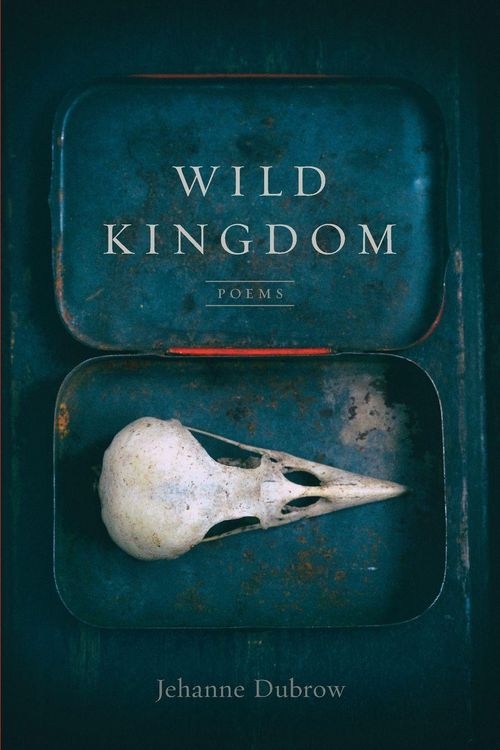Produktbild: Wild Kingdom