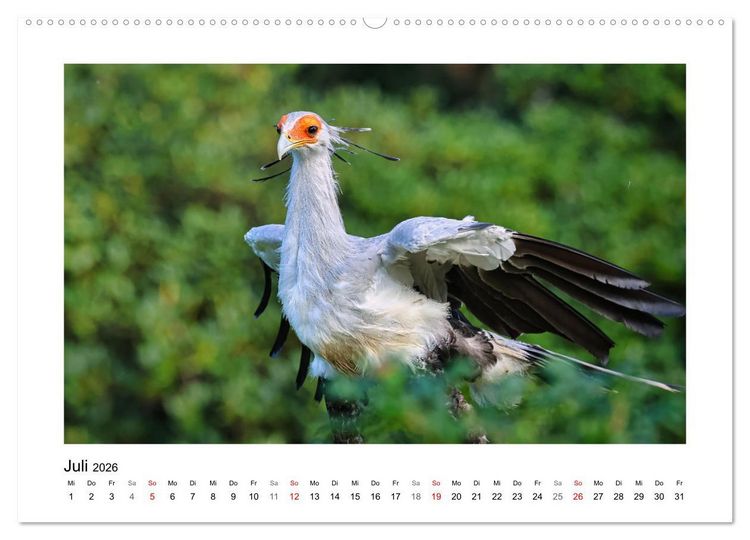 Produktbild: Zauberhaft und farbenfroh (hochwertiger Premium Wandkalender 2026 DIN A2 quer), Kunstdruck in Hochglanz