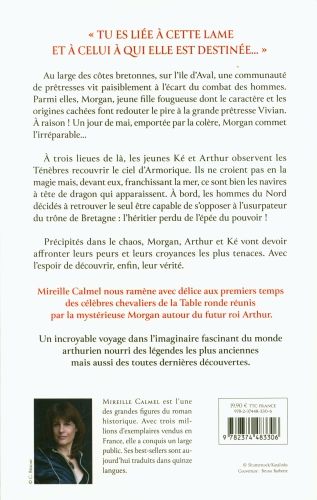 Produktbild: Morgan des brumes : l'&eacute;p&eacute;e du pouvoir