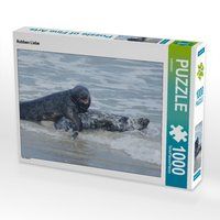 Produktbild: CALVENDO Puzzle Robben Liebe 1000 Teile Lege-Gr&ouml;&szlig;e 64 x 48 cm Foto-Puzzle Bild von kattobello