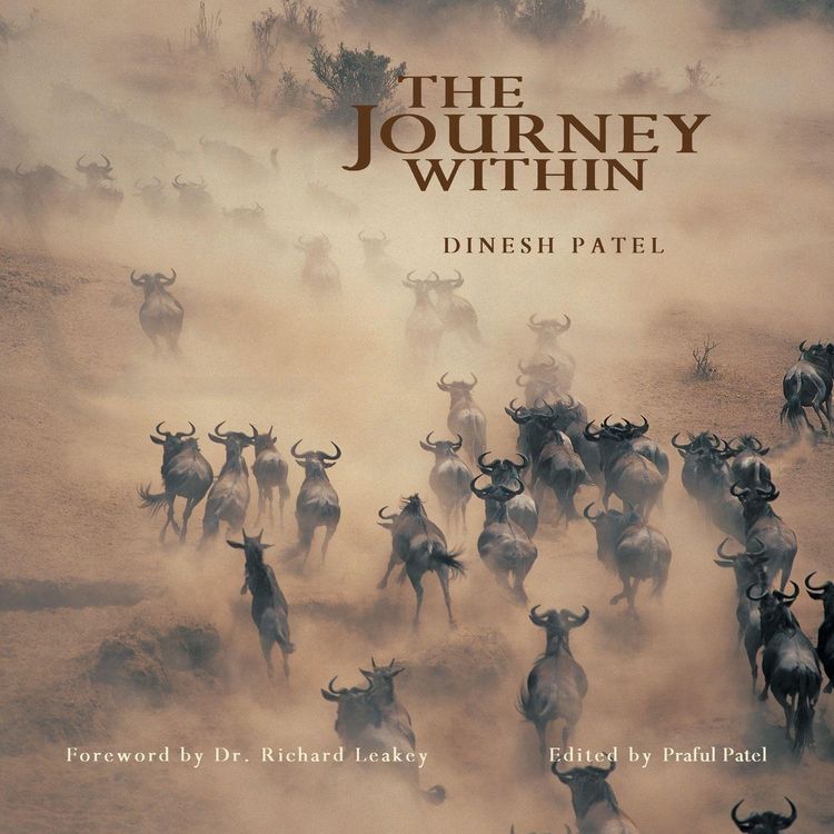Produktbild: The Journey Within