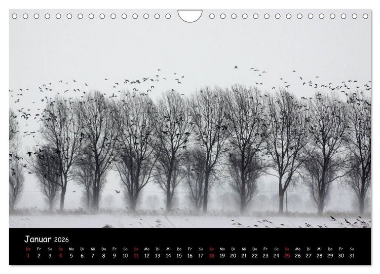 Produktbild: Schrei der Wildg&auml;nse (Wandkalender 2026 DIN A4 quer), CALVENDO Monatskalender