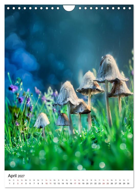 Produktbild: Pilzzeit - Leben auf dem Waldboden (Wandkalender 2027 DIN A4 hoch), CALVENDO Monatskalender