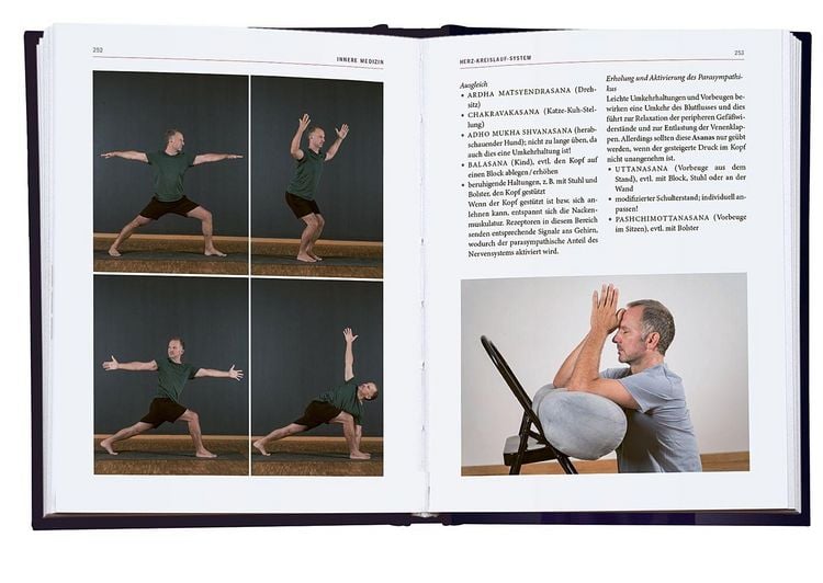 Produktbild: Yoga-Therapie in der Praxis