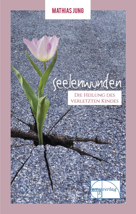 Produktbild: Seelenwunden