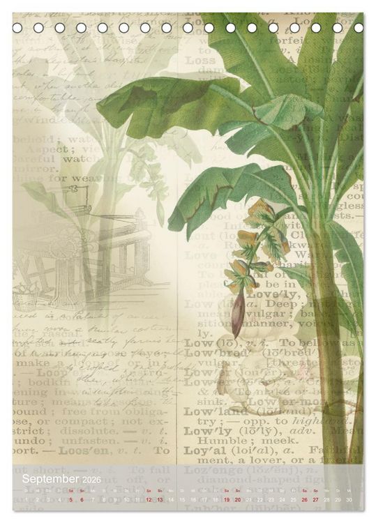 Produktbild: Der Scrapbook-Kalender:Fantasievolle Hintergr&uuml;nde zur kreativen Ausgestaltung (Tischkalender 2026 DIN A5 hoch), CALVENDO Monatskalender