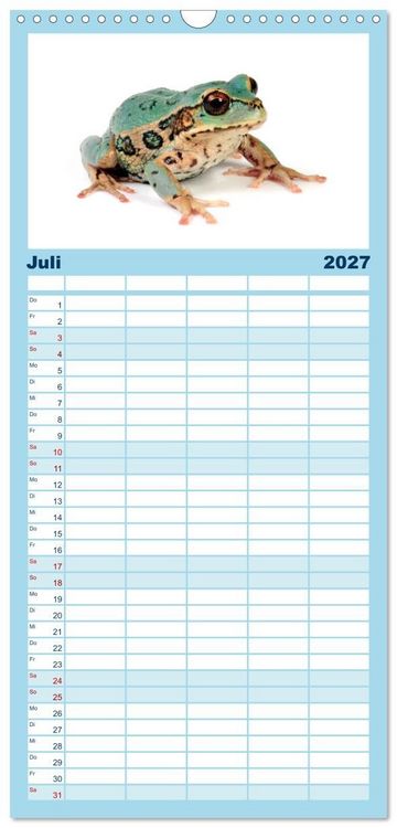 Produktbild: Familienplaner 2027 - Farbenpracht der Fr&ouml;sche mit 5 Spalten (Wandkalender, 21 x 45 cm) CALVENDO