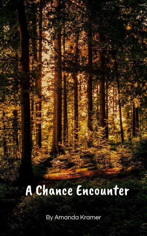 Produktbild: A Chance Encounter